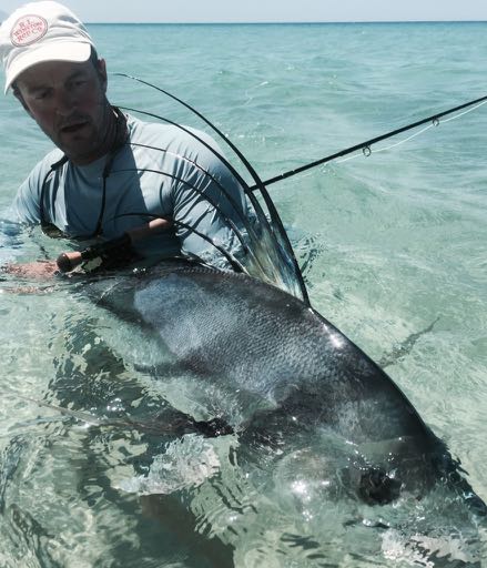 Roosterfish — Cabo species