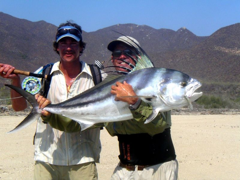 Large roosterfish from the surf