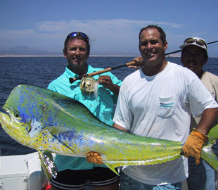 Boat fishing — Baja Anglers charter