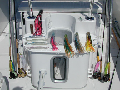 Offshore fishing from the catamaran