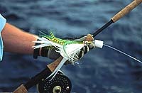 Saltwater flies — Baja Anglers
