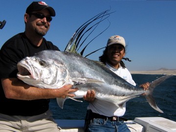 Roosterfish gallery photo 10