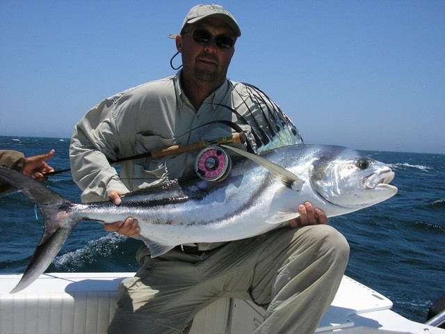 Roosterfish gallery photo 17