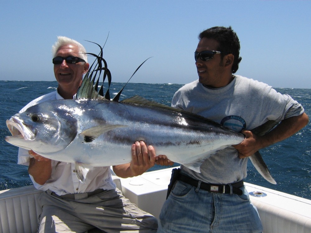 Roosterfish gallery photo 2