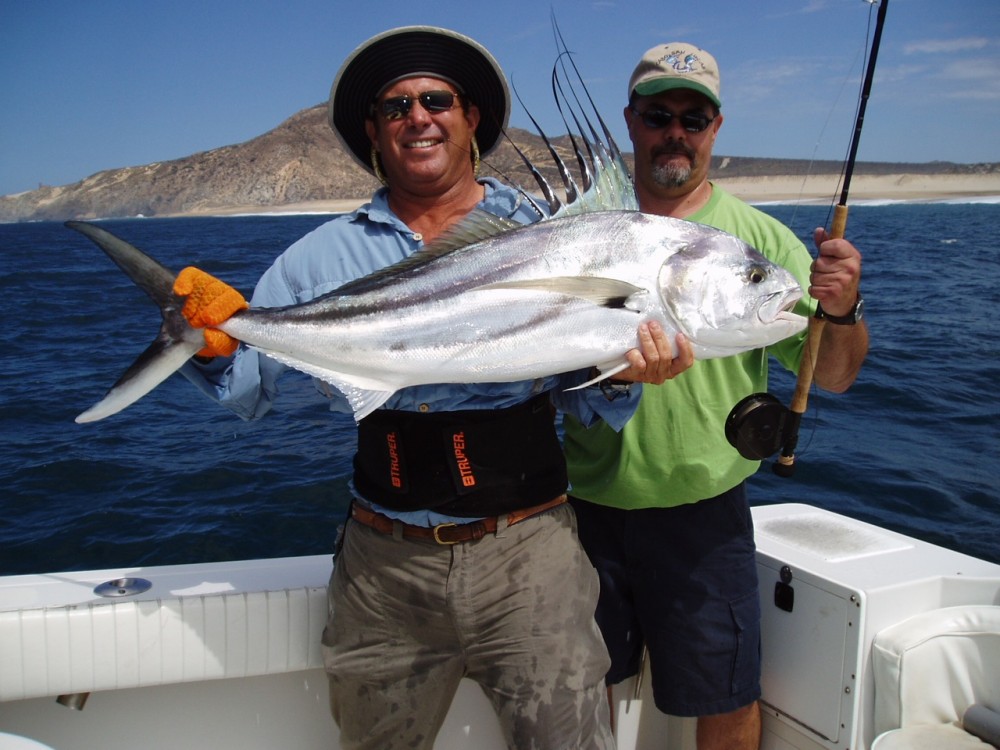 Roosterfish gallery photo 20