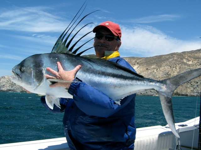 Roosterfish gallery photo 24