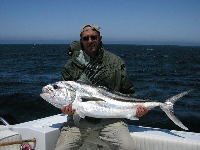 Roosterfish gallery photo 26