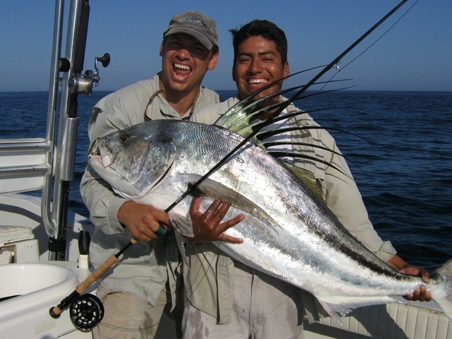 Roosterfish gallery photo 29