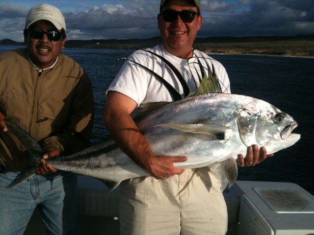 Roosterfish gallery photo 30