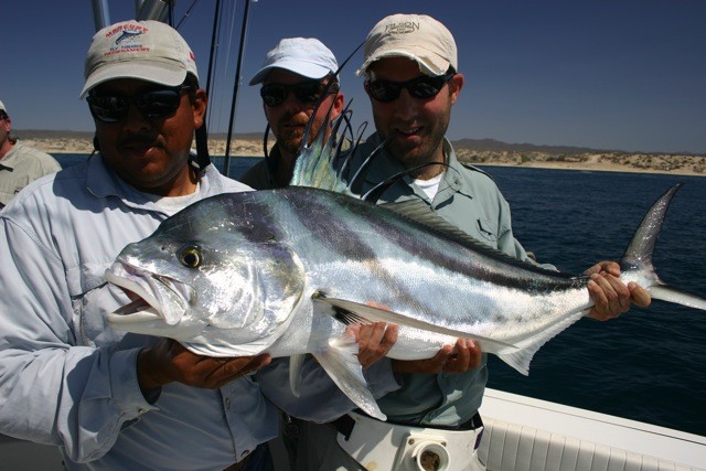 Roosterfish gallery photo 31