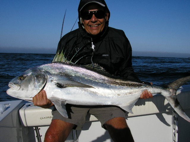 Roosterfish gallery photo 34