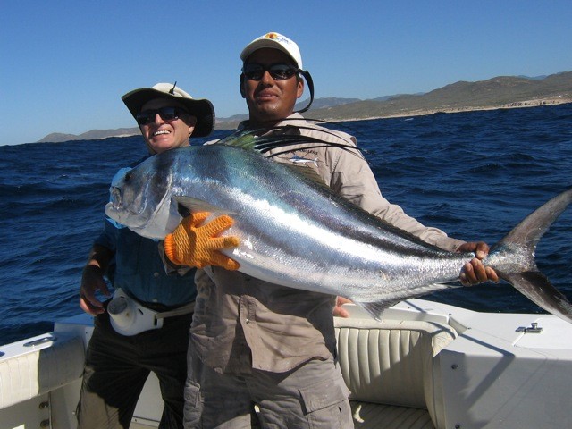 Roosterfish gallery photo 35
