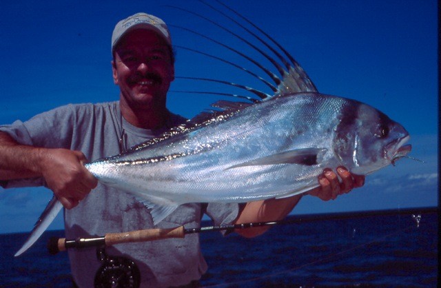 Roosterfish gallery photo 4