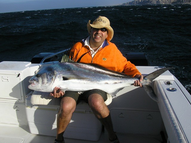 Roosterfish gallery photo 5